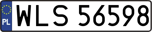 WLS56598
