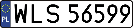 WLS56599