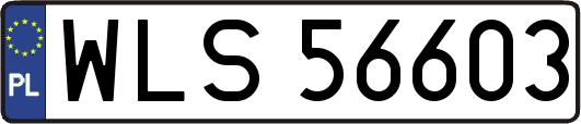 WLS56603