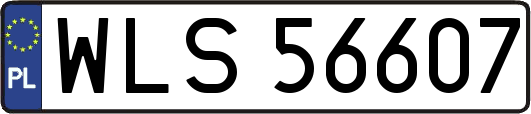 WLS56607