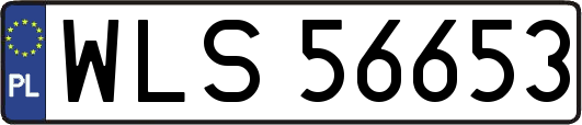 WLS56653