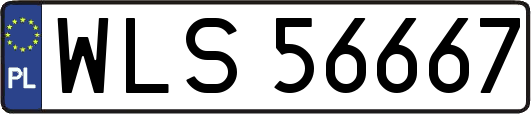 WLS56667
