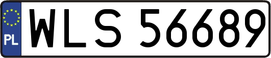 WLS56689