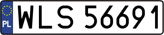 WLS56691