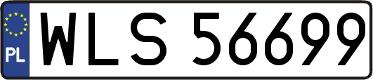 WLS56699