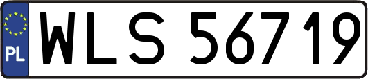 WLS56719