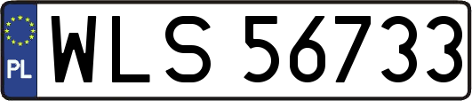 WLS56733