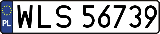 WLS56739