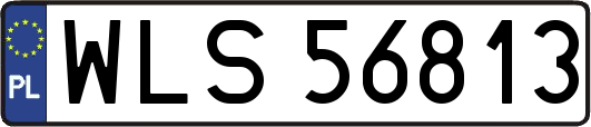 WLS56813