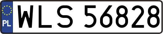 WLS56828