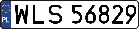 WLS56829