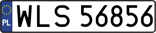 WLS56856