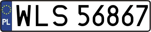 WLS56867