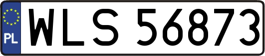 WLS56873