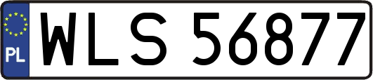 WLS56877