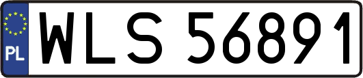 WLS56891