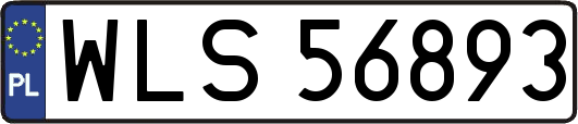 WLS56893
