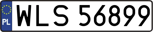 WLS56899