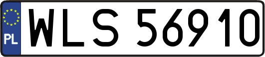 WLS56910