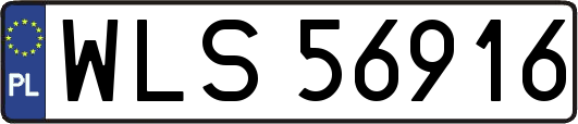WLS56916