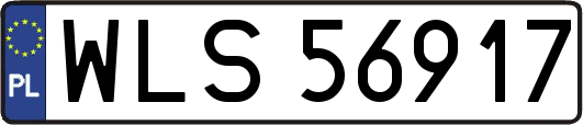 WLS56917