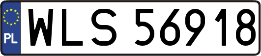 WLS56918