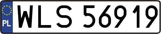 WLS56919