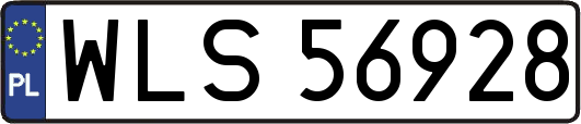 WLS56928