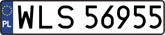 WLS56955
