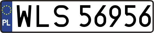 WLS56956