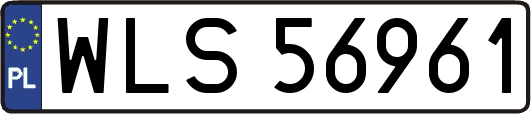 WLS56961