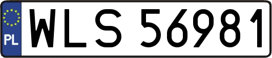 WLS56981