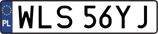 WLS56YJ