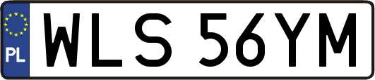 WLS56YM