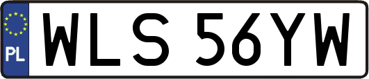 WLS56YW