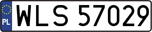 WLS57029
