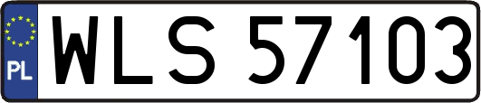 WLS57103