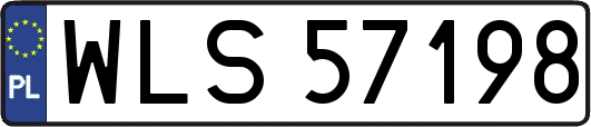 WLS57198