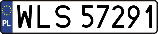 WLS57291