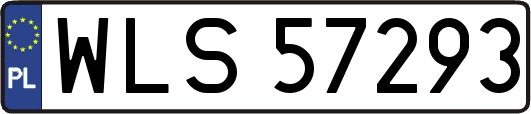 WLS57293