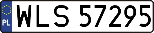 WLS57295