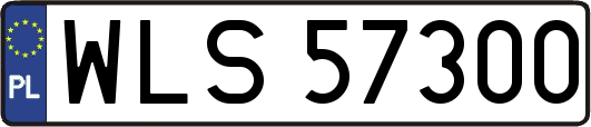 WLS57300