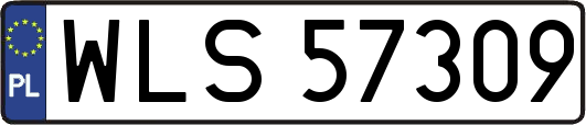WLS57309