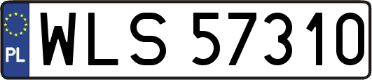 WLS57310