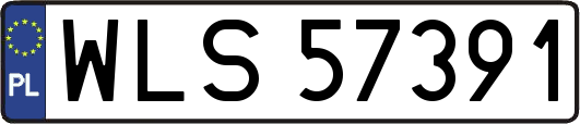 WLS57391