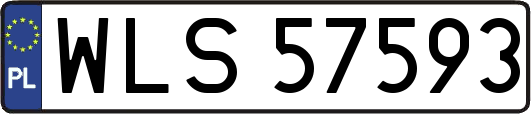 WLS57593