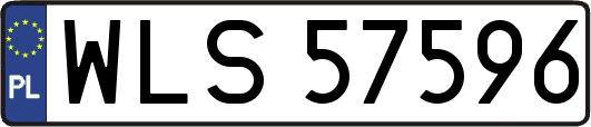 WLS57596