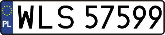 WLS57599