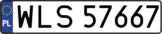 WLS57667