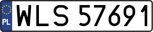 WLS57691